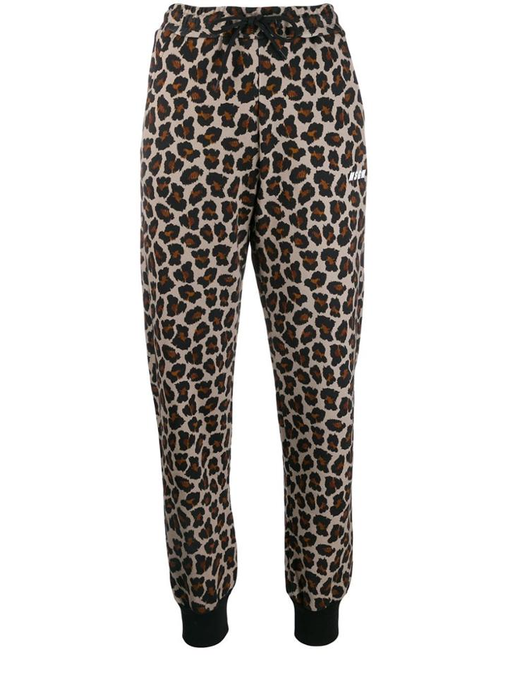 Msgm Leopard Print Track Pants - Neutrals