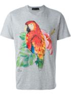 Etro Parrot Print T-shirt, Men's, Size: S, Grey, Cotton