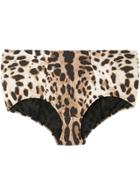 Dolce & Gabbana Leopard Bikini Bottom - Brown