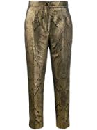 Etro Baroque Trousers - Gold