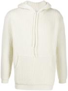 Laneus Ribbed Knit Hoodie - Neutrals