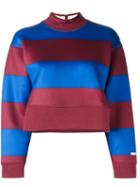 Adidas By Stella Mccartney Striped Cropped Sweatshirt
