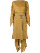 Nehera Asymmetrical Mid-length Dress - Brown