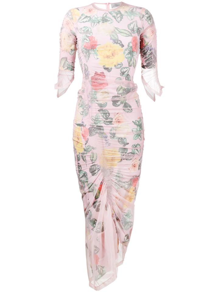 Preen By Thornton Bregazzi Agnes Floral Print Fitted Dress - Pink &