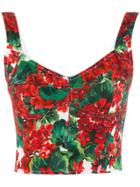 Dolce & Gabbana Poppy Print Bustier Top - Red
