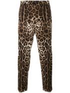 Dolce & Gabbana Leopard Print Trousers, Men's, Size: 46, Brown, Cotton/spandex/elastane