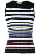 Preen By Thornton Bregazzi Sleeveless Striped Knit Top