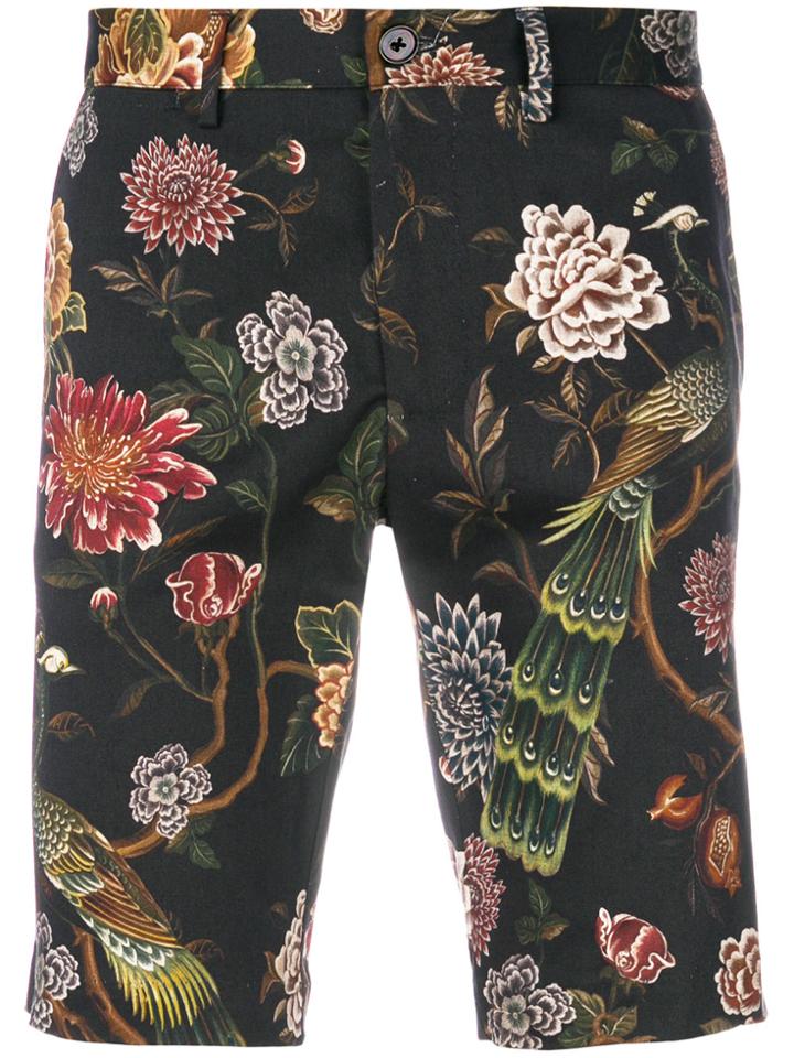 Dolce & Gabbana Floral Peacock Print Shorts - Multicolour