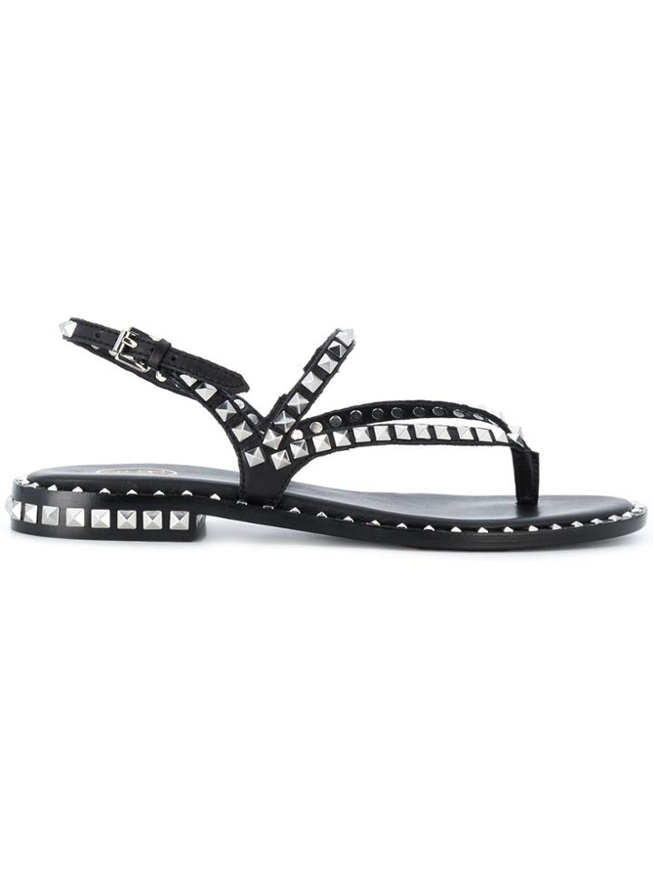 Ash Peps Studded Sandals - Black