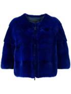 Liska Cropped Fur Jacket - Blue