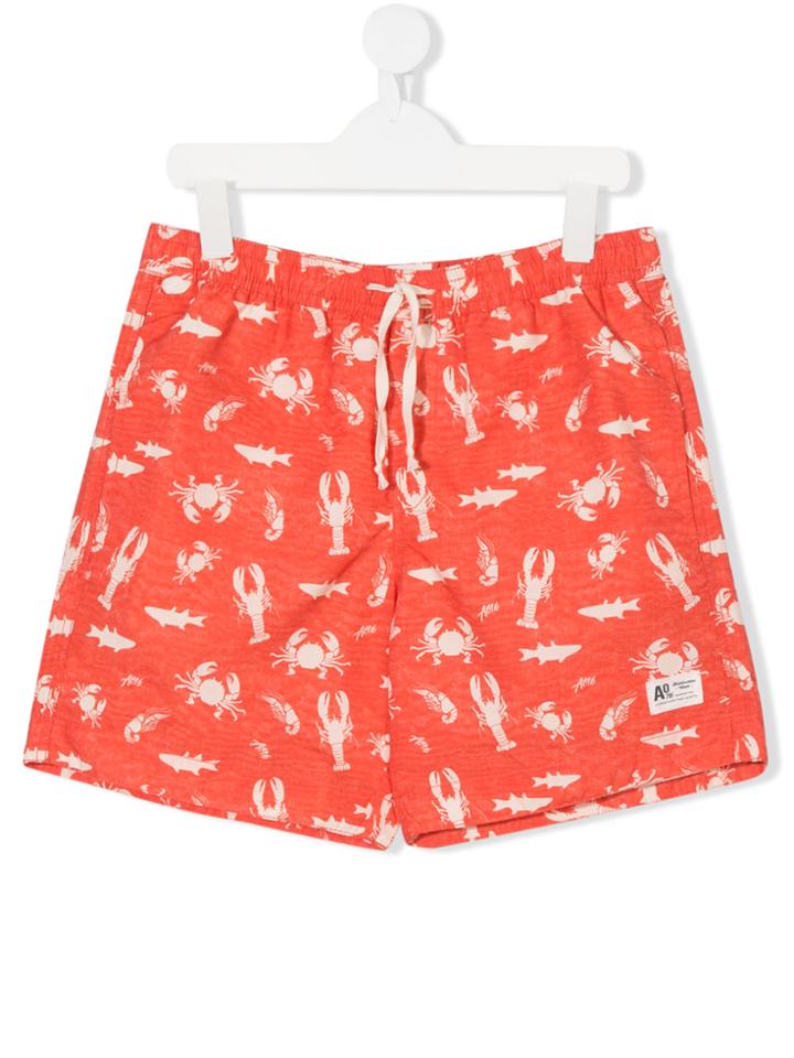 American Outfitters Kids Lobster Print Shorts - Yellow & Orange