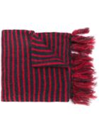 Mp Massimo Piombo Striped Fringed Scarf - Blue