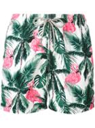 Mc2 Saint Barth - Flamingos Print Swim Shorts - Men - Polyamide/polyester/spandex/elastane - S, Polyamide/polyester/spandex/elastane