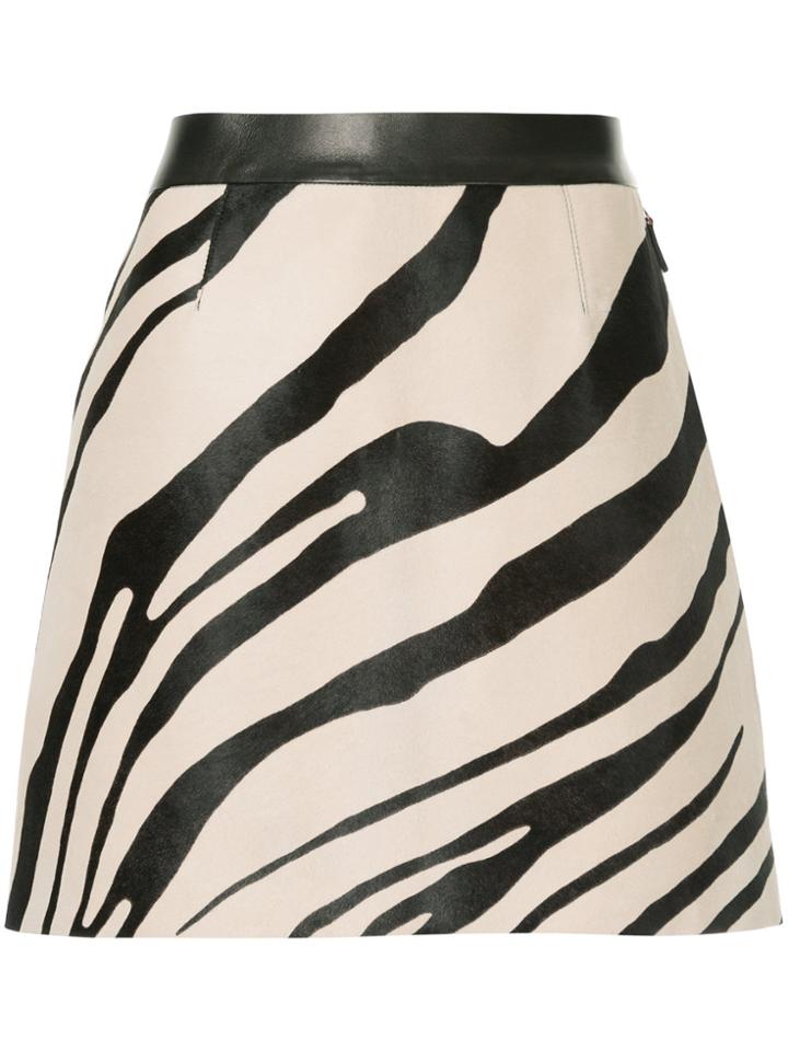 Roberto Cavalli Zebra Print A-line Skirt - Nude & Neutrals