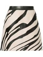 Roberto Cavalli Zebra Print A-line Skirt - Nude & Neutrals