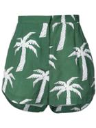 Osklen Osklen X Tarsila Palm Tree Print Shorts - Green