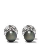 Yoko London 18kt Black Gold Duet Tahitian Pearl And Sapphire Earrings