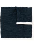 Lardini Cable Knit Scarf - Blue