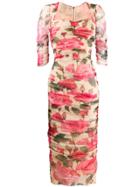 Dolce & Gabbana Rose Print Midi Dress - Neutrals