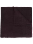 Denis Colomb 'namche' Stole, Adult Unisex, Pink/purple, Cashmere/yak