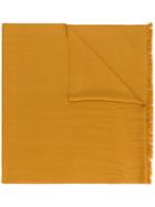 N.peal Pashmina Stole - Yellow & Orange