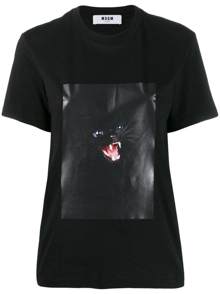 Msgm Cat Print T-shirt - Black