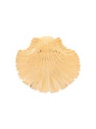 Atu Body Couture Large Shell Earrings - Gold