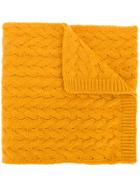 Lardini Cable Knit Scarf - Yellow & Orange