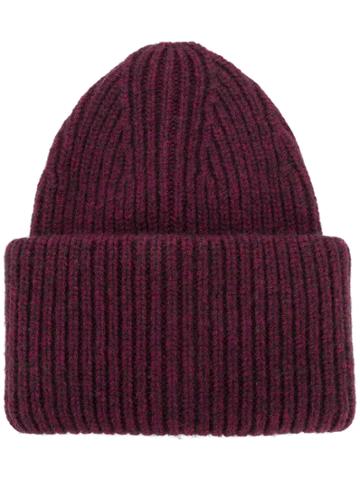 Common Wild Ribbed Beanie - Pink & Purple