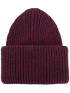 Common Wild Ribbed Beanie - Pink & Purple