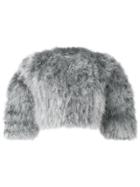 Alberta Ferretti Cropped Feather Jacket - Grey