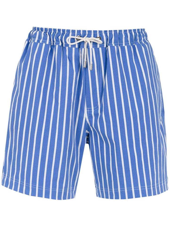 Egrey Striped Shorts - Blue