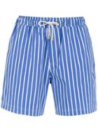 Egrey Striped Shorts - Blue