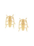 Natia X Lako Beetle Earrings - Gold