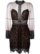 For Love And Lemons Sheer Panel Lace Dress