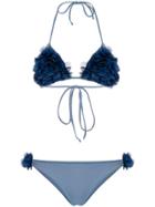 La Reveche Twisted Frills Bikini - Blue