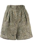 Iro Leopard Print Bermuda Shorts - Green