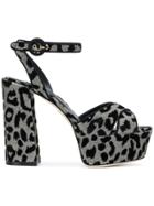 Dolce & Gabbana Kiera Sandals - Black
