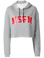 Msgm - Cropped Logo Hoodie - Women - Cotton/viscose - Xs, Grey, Cotton/viscose