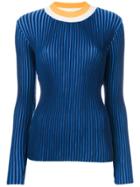 Pardens Ribbed Jumper - Blue
