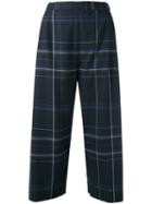 Stephan Schneider Checked Cropped Trousers, Women's, Size: Large, Blue, Cotton