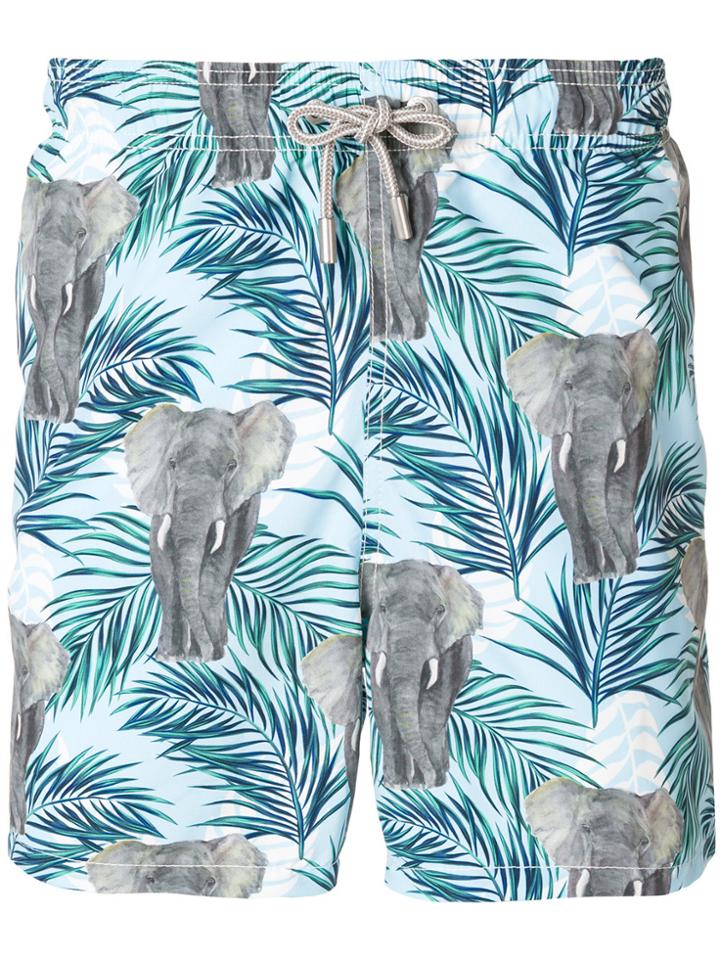 Mc2 Saint Barth Elephant Print Swim Shorts - Blue