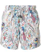 Etro Printed Swim Shorts - Multicolour