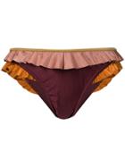 Zimmermann Ruffled Bikini Briefs - Brown