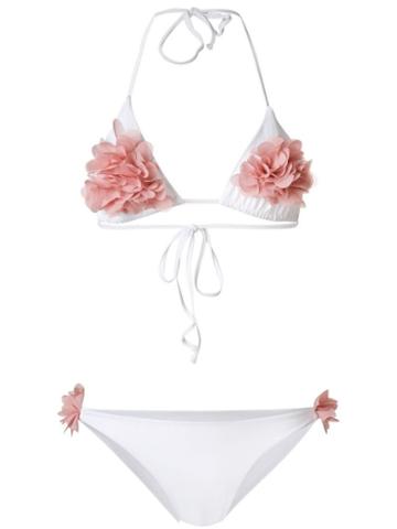La Reveche - White