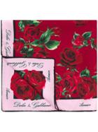 Dolce & Gabbana Rose Print Scarf - Red