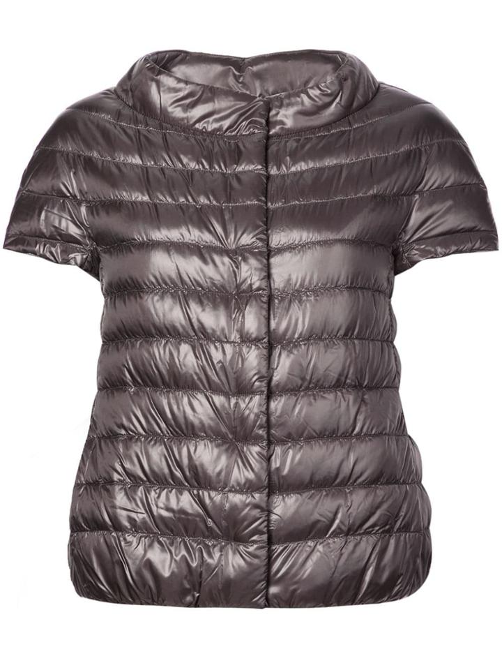 Herno Shortsleeved Padded Jacket - Grey