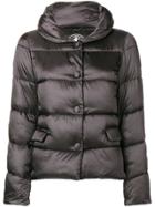 Save The Duck Padded Jacket - Brown