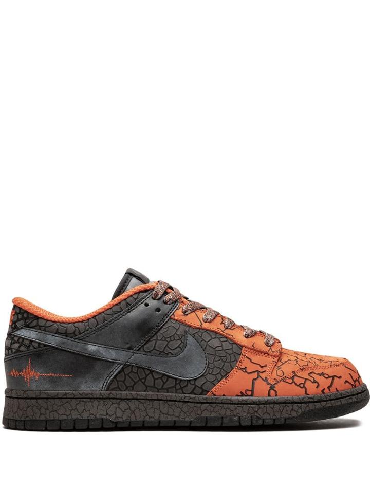 Nike Dunk Low Priority Sneakers - Brown
