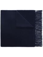 Polo Ralph Lauren Logo-embroidered Scarf - Blue